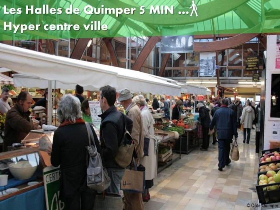 oo Le jardin oo paisible studio équipé et bien placé Quimper Exterior foto